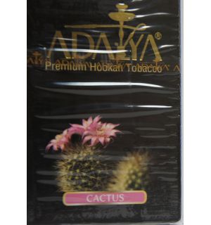 Adalya Cactus (Кактус)