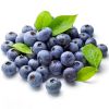 Adalya Blueberry (Черника)