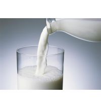 Adalya Ice Milk (Ледяное молоко)