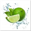 Starbuzz vintage Fresh Lime (Свежий лайм) 200 гр