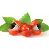 Serbetli Guarana (Гуарана) 50 г