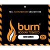 Burn Kiwi Lemon 100 г