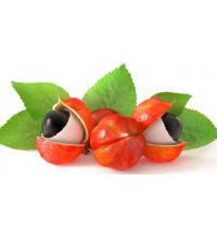 Serbetli Guarana (Гуарана) 1 кг