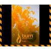 Burn Fanta 100 г
