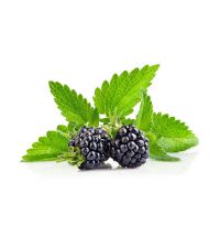 Табак Adalya Black Mulberry (Тутовник)