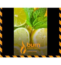 Табак Burn Lemon Mint 100 г