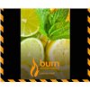 Табак Burn Lemon Mint 100 г
