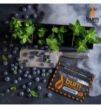 Табак Burn Blueberry Mint 100 г