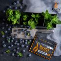 Табак Burn Blueberry Mint 100 г