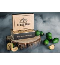 Табак СЕВЕРНЫЙ - Фендиперцовый Фейхоа 100г