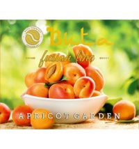 Табак Buta Fusion Apricot Garden (Бута Фьюжн Абрикосовый сад), 50 грамм