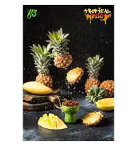 Табак B3 Tropical Duo (Б3 Тропический Дуэт) 50г