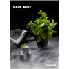 Табак Dark Side - DARK MINT (Дарксайд Сладкая Мята) 250 г