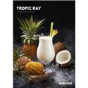 Табак Dark Side - Tropic Ray (Дарксайд Тропик Рей) 100 г
