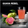 Табак Dark Side - Guava Rebel (Дарксайд Гуава) 250 г