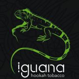 Iguana (Игуана)